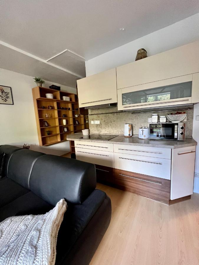 Apartman Labska 21 Ve Spindlerove Mlyne Daire Špindlerŭv Mlýn Dış mekan fotoğraf